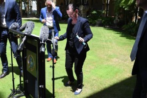 Αράχνη "Μαύρη Χήρα": Τσίμπησε 4χρονο αγοράκι στο Πήλιο - Μεταφέρθηκε εσπευσμένα στην Αθήνα