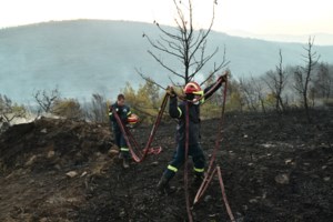 Φωτιά στον Κιθαιρώνα: Καλύτερη η εικόνα της πυρκαγιάς στα Βίλια - Εκκενώθηκε προληπτικά κατασκήνωση - εικόνα 2